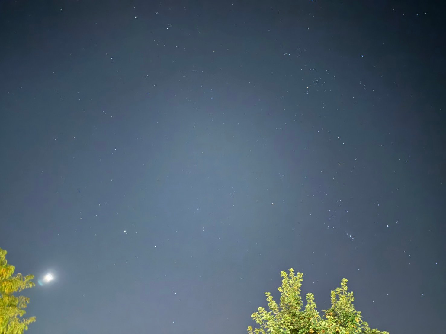 Maple3有機楓樹汁1000ml-3入組